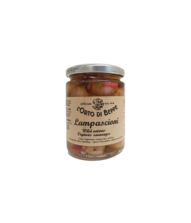 Orto Di Beppe Lampascioni Wild Onions