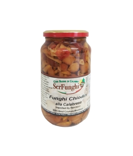 Serfunghi Chiodini Mushrooms